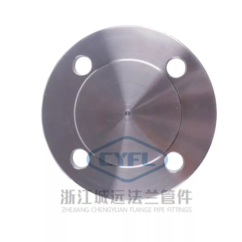 Slip Stainless Steel 304 pada Flange